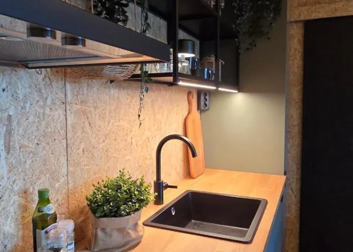 וילה Ternu Forestvilla רובניימי